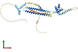 AlphaFold protein structure predicition of Human Recombinant PBX3 Protein, UniprotID P40426 (PBX3 Protein (AA 1-434) (His tag))