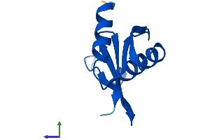 AlphaFold protein structure predicition of Human Recombinant LAMTOR5 Protein, UniprotID O43504 (HBXIP Protein (AA 1-91) (Fc Tag))