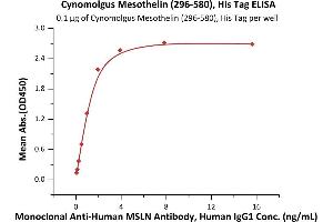 ELISA image for Mesothelin (MSLN) (AA 296-580) (Active) protein (His tag) (ABIN7013457)