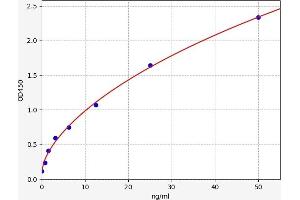 Choline Acetyltransferase ELISA Kit