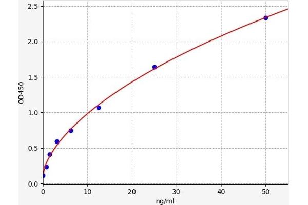 Choline Acetyltransferase ELISA Kit