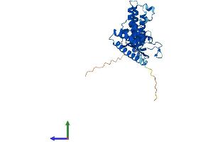AlphaFold protein structure predicition of Human Recombinant FKBP6 Protein, UniprotID O75344 (FKBP6 Protein (AA 1-327) (His tag))