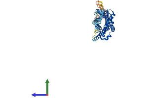 AlphaFold protein structure predicition of Mouse Recombinant Ccr2 Protein, UniprotID P51683 (CCR2 Protein (AA 1-373) (His tag))