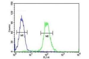 XRCC6 antibody flow cytometric analysis of HeLa cells (green) compared to a negative control (blue). (XRCC6 antibody  (AA 228-254))