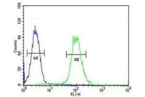 XRCC6 antibody flow cytometric analysis of HeLa cells (green) compared to a negative control (blue).