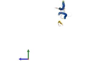 AlphaFold protein structure predicition of Mouse Recombinant Krt31 Protein, UniprotID Q61765