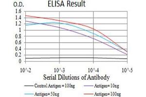 Black line: Control Antigen (100 ng);Purple line: Antigen (10ng); Blue line: Antigen (50 ng); Red line:Antigen (100 ng) (ZFP91 antibody  (AA 162-304))