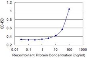 ATP8B1 antibody  (AA 471-551)