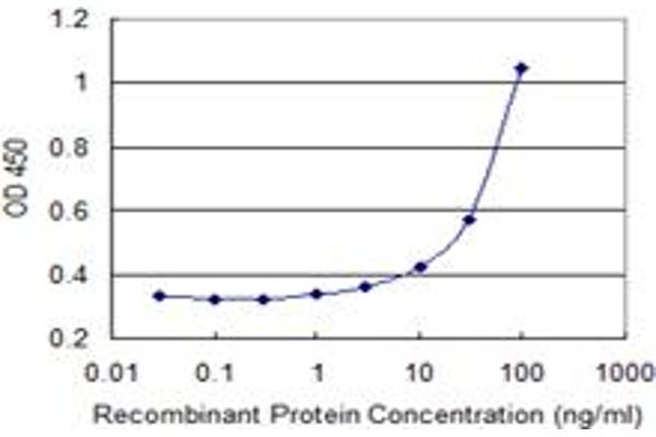 ATP8B1 antibody  (AA 471-551)