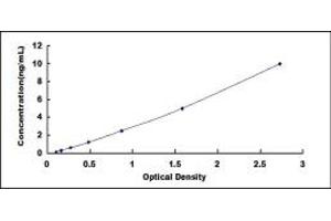 Typical standard curve (CCKAR ELISA Kit)