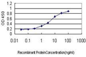 Detection limit for recombinant GST tagged TCEB3 is approximately 0. (TCEB3 antibody  (AA 81-190))