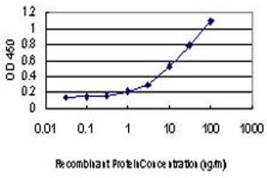 ELISA image for anti-C-Src tyrosine Kinase (CSK) (AA 1-101) antibody (ABIN598630) (CSK antibody  (AA 1-101))