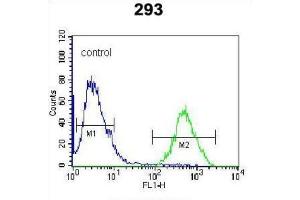 Flow Cytometry (FACS) image for anti-CAAX Prenyl Protease 2 (RCE1) antibody (ABIN3001522) (RCE1/FACE2 antibody)