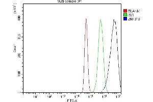 Flow Cytometry analysis of A431 cells using anti-ZNF318 antibody (ABIN7602294). (ZNF318 antibody  (AA 680-1197))