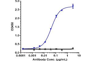 Immobilized human IL 8 His at 2 μg/mL can bind Anti-CXCL8 / IL-8 Reference Antibody (HuMax-IL8), EC50=0.