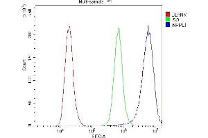 Flow Cytometry analysis of A431 cells using anti-INPPL1 antibody (ABIN6719492). (INPPL1 antibody  (AA 1172-1258))