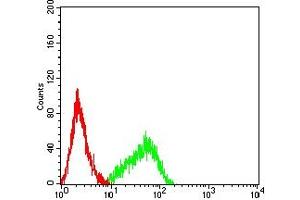 Flow cytometric analysis of HL-60 cells using CD120B mouse mAb (green) and negative control (red). (TNFRSF1B antibody  (AA 23-257))