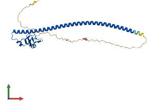 AlphaFold protein structure predicition of Mouse Recombinant Ccnb1ip1 Protein, UniprotID D3Z3K2 (CCNB1IP1 Protein (AA 1-276) (His tag))