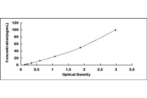 EPX ELISA Kit