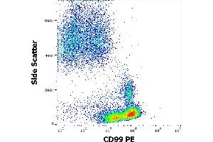 Flow cytometry surface staining pattern of human peripheral whole blood stained using anti-human CD99 (3B2/TA8) PE antibody (10 μL reagent / 100 μL of peripheral whole blood). (CD99 antibody  (PE))