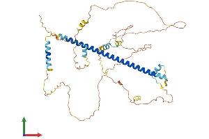 AlphaFold protein structure predicition of Mouse Recombinant Creb3l3 Protein, UniprotID Q91XE9 (CREB3L3 Protein (AA 1-479) (His tag))