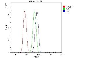 Flow Cytometry analysis of SiHa cells using anti-MR1 antibody (ABIN6719587). (MR1 antibody  (AA 23-269))