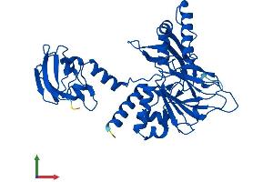 Protein Structure (PS) image for butyrobetaine (Gamma), 2-Oxoglutarate Dioxygenase (Gamma-butyrobetaine Hydroxylase) 1 (BBOX1) (AA 1-387) protein (His tag) (ABIN7560264)