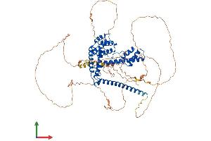 Protein Structure (PS) image for Death-Domain Associated Protein (DAXX) (AA 1-739) protein (His tag) (ABIN7562341)