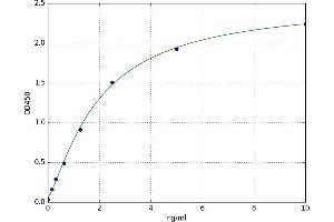 Nanog Homeobox (NANOG) ELISA Kit