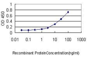 Detection limit for recombinant GST tagged ISGF3G is approximately 0. (IRF9 antibody  (AA 1-393))