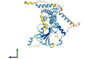 Protein Structure (PS) image for UBX Domain Protein 6 (UBXN6) (AA 1-441) protein (His tag) (ABIN7544991)