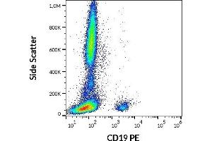 Flow cytometry surface staining pattern of human peripheral whole blood stained using anti-human CD19 (4G7) PE antibody (20 μL reagent / 100 μL of peripheral whole blood). (CD19 antibody  (PE))