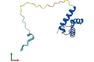 AlphaFold protein structure predicition of Mouse Recombinant Pold4 Protein, UniprotID Q9CWP8 (POLD4 Protein (AA 1-107) (His tag))
