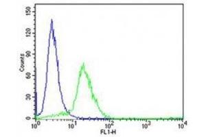Flow Cytometry (FACS) image for anti-Enhancer of Zeste Homolog 2 (EZH2) antibody (ABIN3028636)