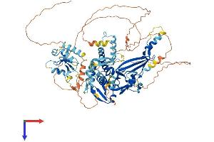 Ubiquitin Specific Peptidase 45 (USP45) (AA 1-813) protein (His tag)