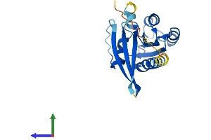 AlphaFold protein structure predicition of Human Recombinant RAB29 Protein, UniprotID O14966