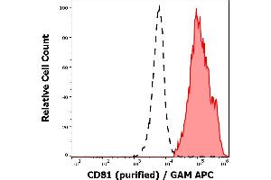 CD81 antibody