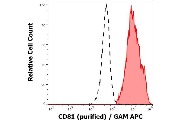 CD81 antibody