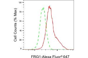 Flow cytometric analysis of FRG1 expression in HeLa cells using FRG1 antibody (ABIN7798662), 1:2,000).