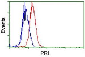 Image no. 1 for anti-Prolactin (PRL) antibody (ABIN1500431)