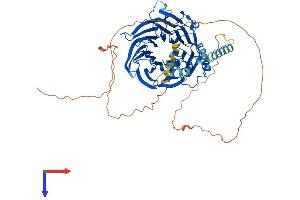 AlphaFold protein structure predicition of Human Recombinant DCAF8L1 Protein, UniprotID A6NGE4 (DCAF8L1 Protein (AA 1-600) (His tag))