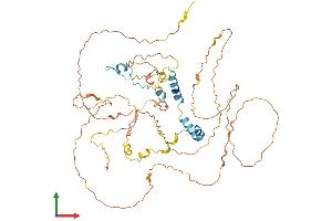 Protein Structure (PS) image for Protein Aurora Borealis (BORA) (AA 1-525) protein (His tag) (ABIN7558849)