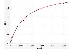 IGFBP5 ELISA Kit