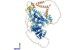 AlphaFold protein structure predicition of Human Recombinant SLF1 Protein, UniprotID Q9BQI6 (ANKRD32 Protein (AA 1-1058) (His tag))