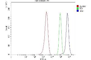 Flow Cytometry analysis of MCF-7 cells using anti-TDG antibody (ABIN7600107). (TDG antibody  (AA 15-370))