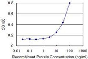 Detection limit for recombinant GST tagged DSN1 is 1 ng/ml as a capture antibody. (DSN1 antibody  (AA 257-355))