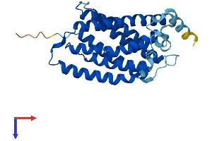 AlphaFold protein structure predicition of Human Recombinant ELOVL3 Protein, UniprotID Q9HB03 (ELOVL3 Protein (AA 1-270) (His tag))