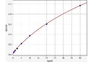 SMAD3 ELISA Kit