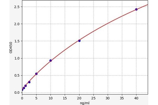 SMAD3 ELISA Kit