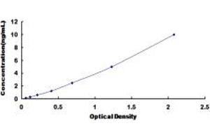 Retinoid X Receptor alpha ELISA Kit